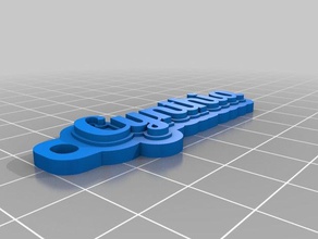 keychain cynthia organization customized 3d print model - Mito3D