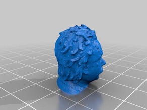 einstein dehaan sculture 3d print model - Mito3D