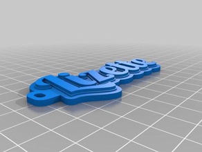 liz organizzazione personalizzato 3d print model - Mito3D