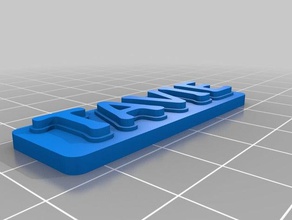 minha personalizado de várias linhas tag chaveiro tavie organização 3d print model - Mito3D