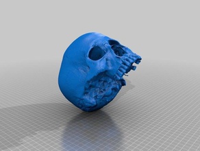 insan kafatası 3d taranmış biyoloji tarayıcı 3d print model - Mito3D
