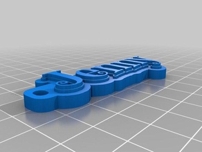 valentina organizasyon özelleştirilmiş 3d print model - Mito3D