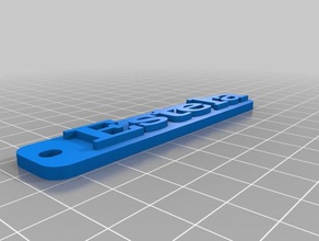 my customized multiline tag keychain estela organization 3d print model - Mito3D