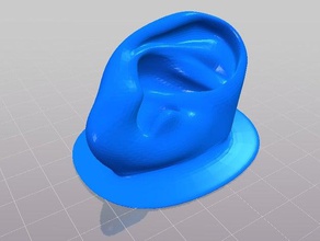 het menselijk oor model mensen 3d print model - Mito3D