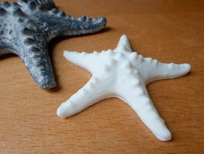 seestern starfish created visualsfm animals 3d print model - Mito3D