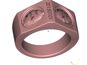 speciale ring gezicht ringen 3d-model bas-reliëf hoofd de foto reliëf 3d print model - Mito3D