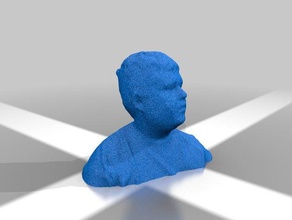 my head scans replicas 3d print model - Mito3D