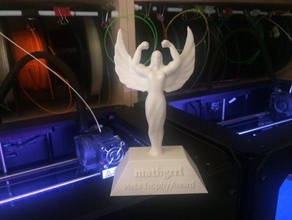 personalizable fornido trofeo licuadora hornear tutorial las esculturas premio beefyarms personalizador dragón femenino de regalo niña hacktastic mujer 3d print model - Mito3D