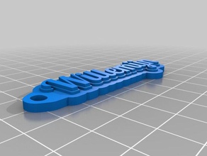 il mio personalizzato multiline tag portachiavi organizzazione 3d print model - Mito3D