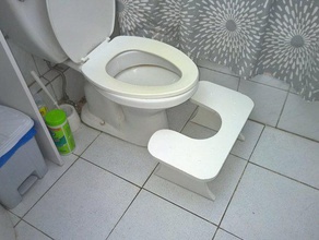 salle de bains marchepied squat wc 3d print model - Mito3D