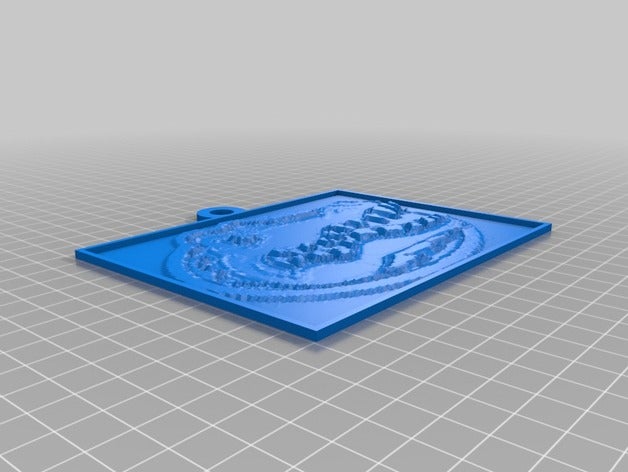 gator lithopane 2d art customized 3D print model - Mito3D