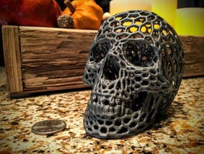 skull voronoi style sculptures halloween prop 3d print model - Mito3D