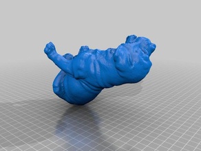 filhote de cachorro varreduras réplicas 3d print model - Mito3D