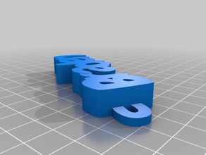 braden organización personalizado 3d print model - Mito3D