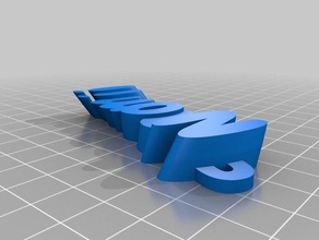 nami etiketi organizasyon özelleştirilmiş 3d print model - Mito3D