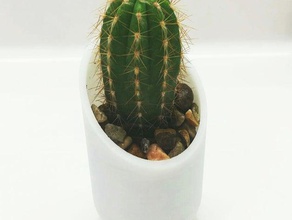 cacti pot decor cactus planter 3d print model - Mito3D