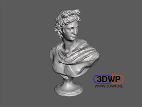 apolo busto de escaneo 3d exploraciones las réplicas 123d 123dcatch catch antiguo art emperador griego la escultura griega meshmixer museo romano el arte estatua 3d print model - Mito3D