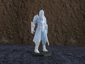 guerrier en armure plusieurs poses games armour board defender dnd dragons dungeons female fighter hero heroes knight man miniature miniatures person stance suit sword tabletop villain weapon woman 3d print model - Mito3D
