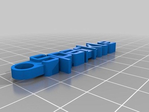 la chispa organización personalizado 3d print model - Mito3D