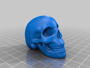 crâne humain sculptures os la mort haloween tête d'homme tuer organique effrayant squelette statue 3d print model - Mito3D