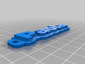 my customized multiline tag keychain paola organization 3d print model - Mito3D