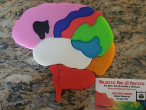 cerveau de puzzle lobe la biologie flashforge scienceproject makeredchallenge 3d print model - Mito3D