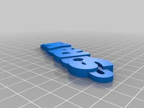soraya mais sortudo do cara organização personalizado 3d print model - Mito3D