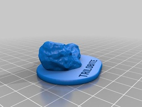 trilobite fossil 3d printing 3d print model - Mito3D