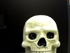 skull scans replicas makerbotdigitizer 3d print model - Mito3D