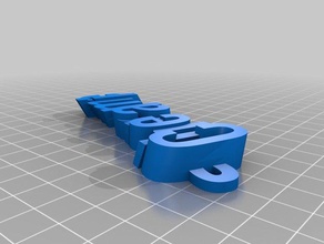 my customized iamburnystext name keyring keyfob cheramie organization 3d print model - Mito3D