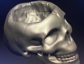 crâne conteneur les conteneurs os haloween humain effrayant squelette 3d print model - Mito3D