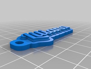 liliana kc organización personalizado 3d print model - Mito3D