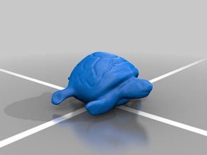 tartaruga comum animais 3d print model - Mito3D
