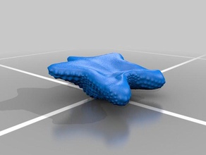 estrela-do-mar animais 3d print model - Mito3D