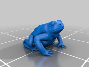my toad animals 3d print model - Mito3D