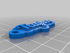 taylor keychain organization customized 3d print model - Mito3D