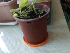 simple soucoupe de pot fleur plein air jardin 3d print model - Mito3D