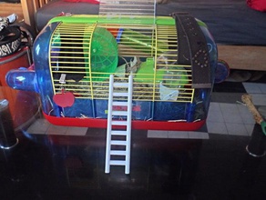 pet merdiven evcil hayvan kuş kafes Kanarya habitrail hamster fare oyuncak oyuncaklar 3d print model - Mito3D