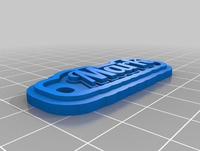 marca tag de porta-chaves chaveiros personalizado 3d print model - Mito3D