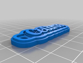 celine nombre de la etiqueta llavero llaveros personalizado 3d print model - Mito3D