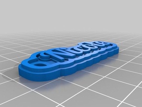 nicole name tag keychain keychains customized 3d print model - Mito3D