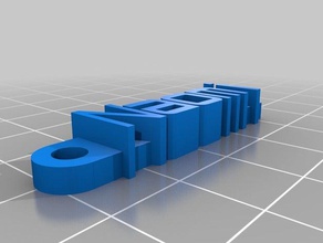 naomi de l'organisation personnalisé 3d print model - Mito3D
