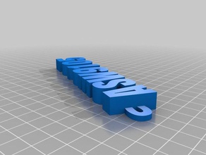 özelleştirilmiş iamburnystext adım keyfob Anahtarlık organizasyon 3d print model - Mito3D