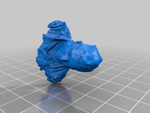 lello scans replicas 3d print model - Mito3D