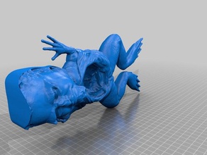 froggy tony Biologie Kunst Dissektion icepick okay 3d print model - Mito3D
