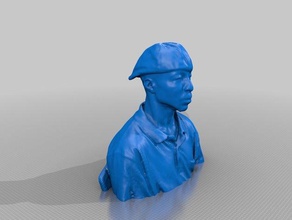james peterson 3d impresión 3d print model - Mito3D