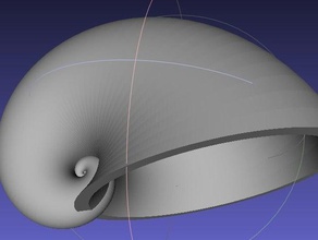 shell 01 math art biology 3d print model - Mito3D