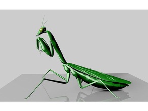 praying mantis creatures 3d print model - Mito3D