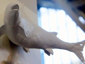 somon balığı heykeller anatomi doğa 3d print model - Mito3D