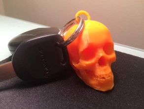 skull keychain biology 3d print model - Mito3D